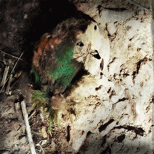 Across Tundras : Tumbleweeds III